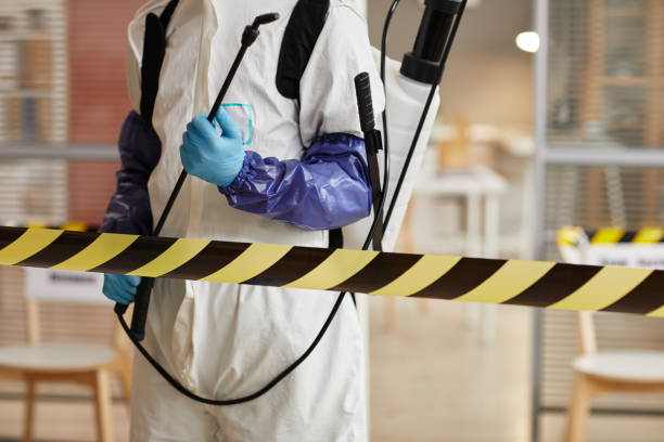 Professional Sewage Cleanup technician working in Parlier, CA
